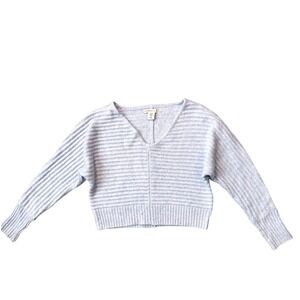 Sincerely Jules Light Blue Striped V Neck Dolman Sleeve Cropped Sweater XS
